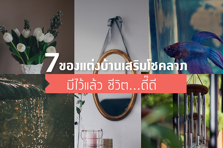 7-ของ-แต่งบ้านเสริมโชคลาภ-มีไว้แล้ว-ชีวิต-ดี้-ดี