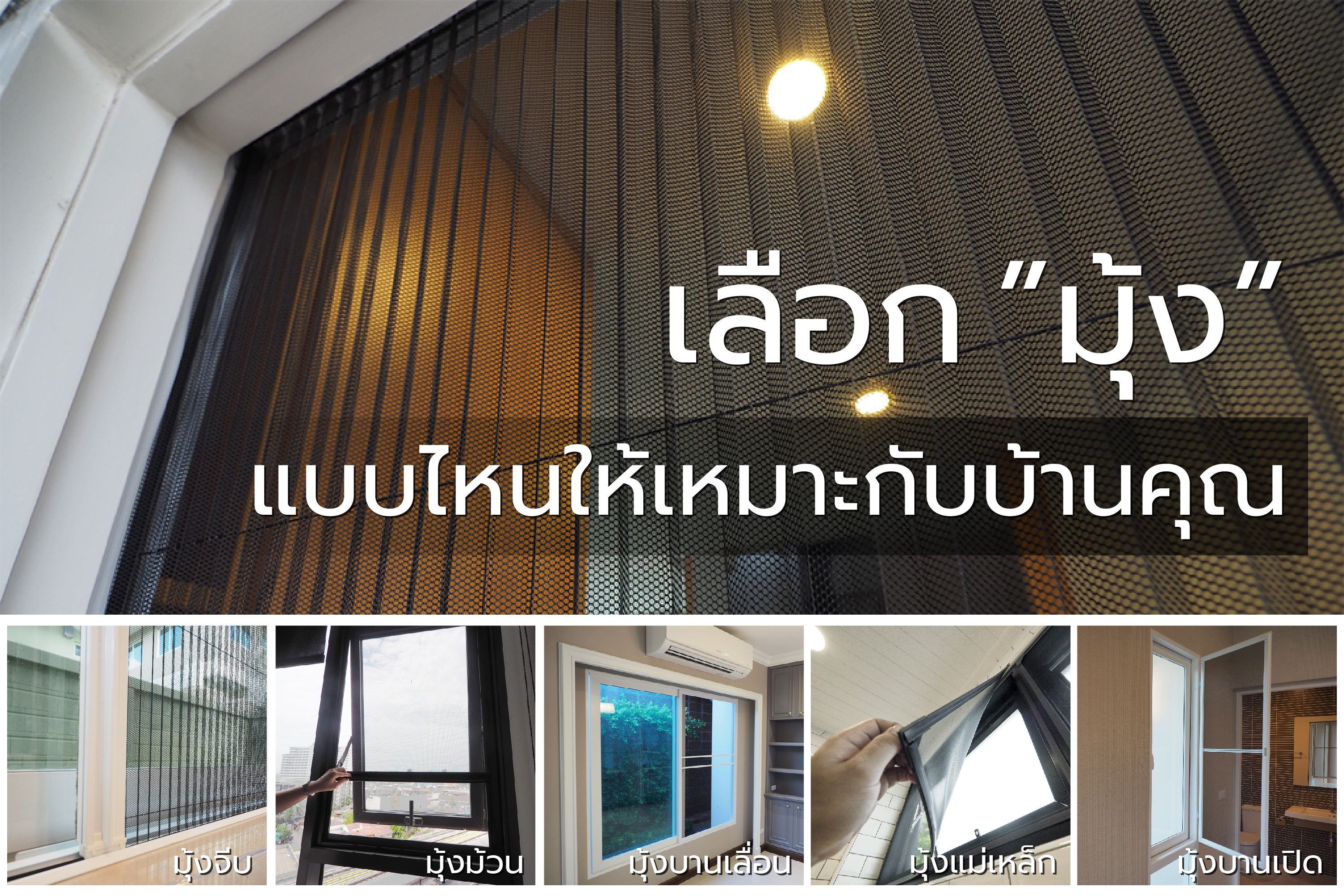 มุ้ง | THAIMEGA