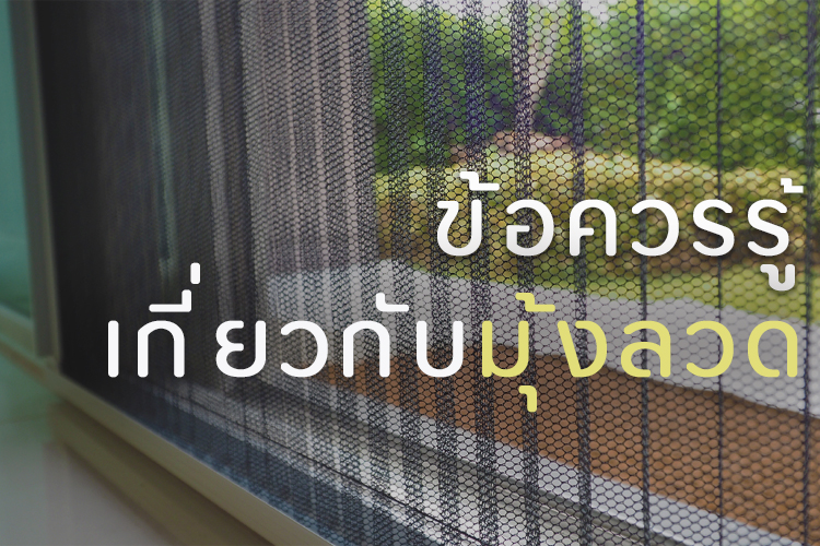 การเลือกติดตั้งมุ้งลวดสำหรับบ้านสมัยใหม่